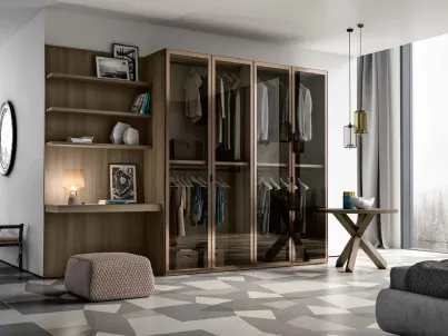 Armadio con anta battente in vetro bronzato Frame di Imab