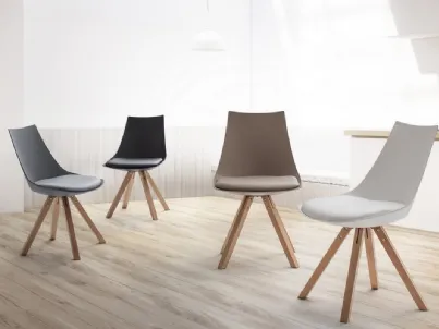 Sedia Mayer con seduta in Plastica di Bizzotto